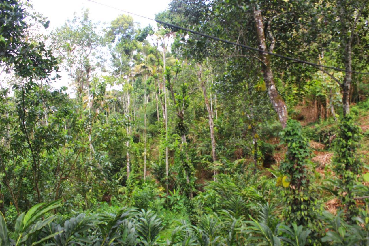 Arabian Nights Munnar 빌라 외부 사진